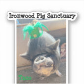 Taco St. Patrick's Stickers (Voorkant)