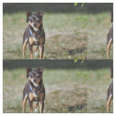 Taco Stof (Close Up)