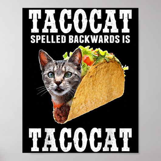 Tacocat achterstevoren gespeld is Tacocat Funny Ca Poster (Voorkant)