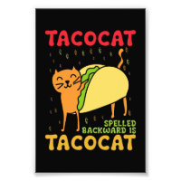 Tacocat achterstevoren gespeld tacos katten Cinco 