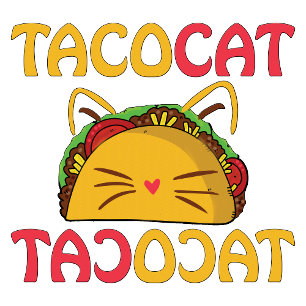 Tacocat - Grappige Taco Kat  T-shirt