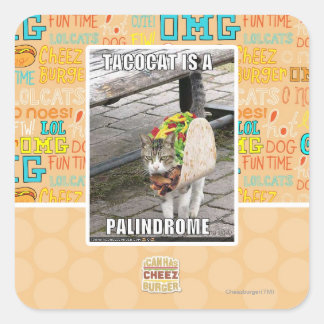 TACOCAT IS EEN PALINDROOM VIERKANTE STICKER