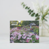 Tacoma, Washington Point Defiance Park Travel Briefkaart (Staand voorkant)