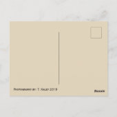 Tacoma Washington Train Briefkaart (Achterkant)