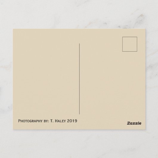 Tacoma Washington Train Briefkaart (Achterkant)