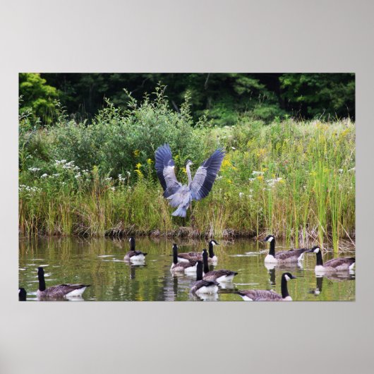 TADA! POSTER (Voorkant)