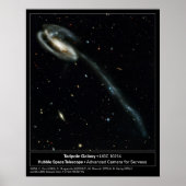Tadpole Galaxy Hubble Telescope Foto Poster (Voorkant)
