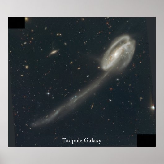 Tadpole Galaxy Poster (Voorkant)