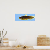 Tadpole Madtom Meerval Poster (Keuken)