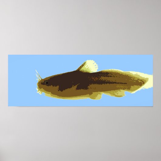 Tadpole Madtom Meerval Poster (Voorkant)