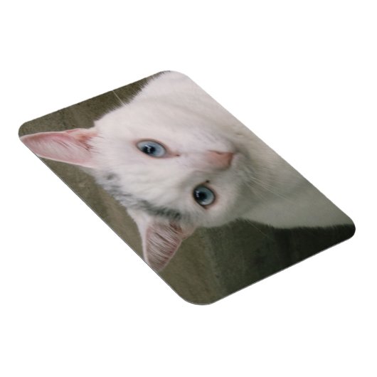 Tadpole Magneet (Rechterzijde)