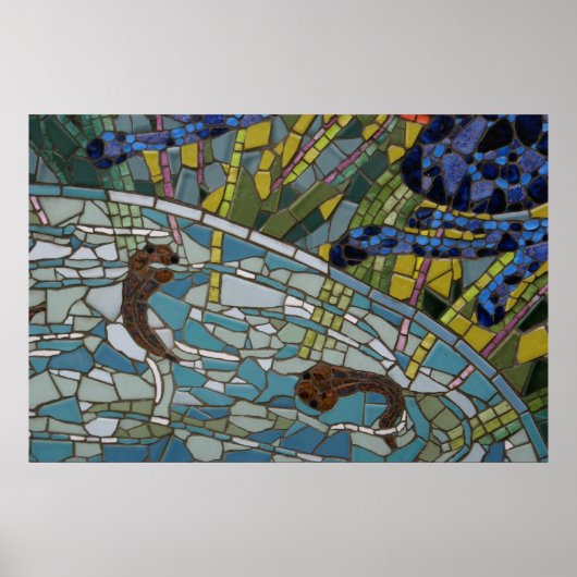 Tadpole Mosaic, 2010 foto van Derrick W. Black Poster (Voorkant)