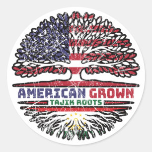 Tadzjikistan Tadzjikistan - Amerikaanse vlag - boo Ronde Sticker