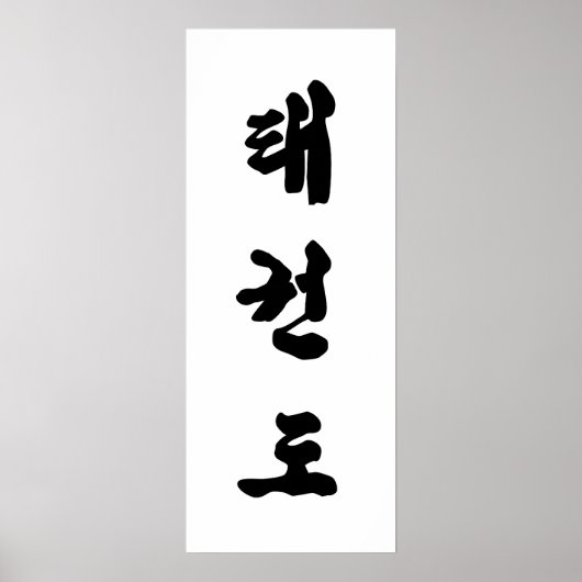 Tae Kwon Canvas afdrukken Poster (Voorkant)