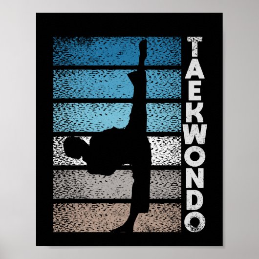 Tae Kwon Do fighter Taekwondo Korean fight Poster (Voorkant)