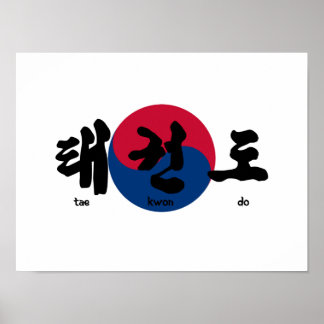 Tae Kwon Do met vlag Poster