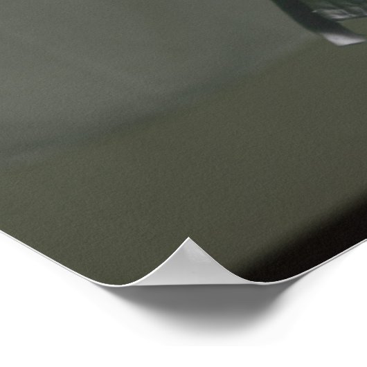 Taekwondo Fighter Tightening Belt Poster (Hoek)