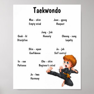 Taekwondo Poster