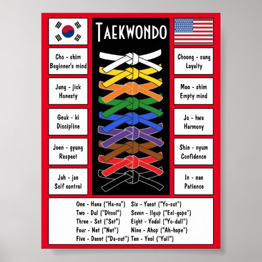 Taekwondo Poster (Voorkant)