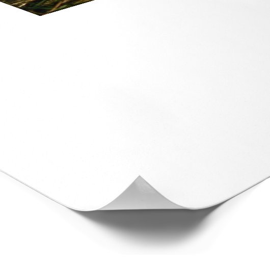 Taekwondo-poster voor kinderen poster (Hoek)