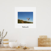 Taekwondo-poster voor kinderen poster (Keuken)