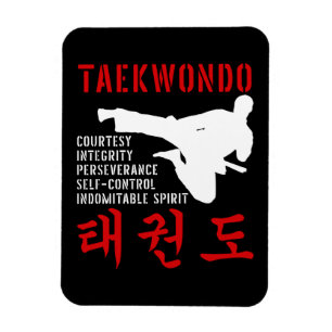 Taekwondo Tenets Martial Arts Magneet