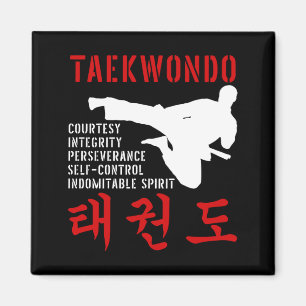 Taekwondo Tenets Martial Arts Magneet