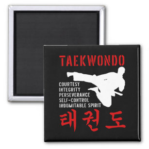 Taekwondo Tenets Martial Arts Magneet