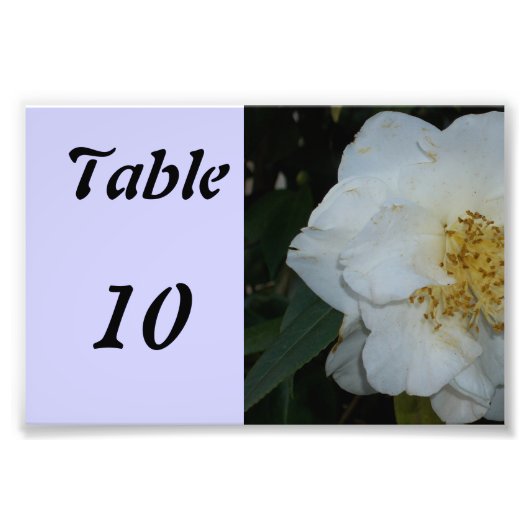 Tafel Nummer Bloem Foto Afdruk (Voorkant)