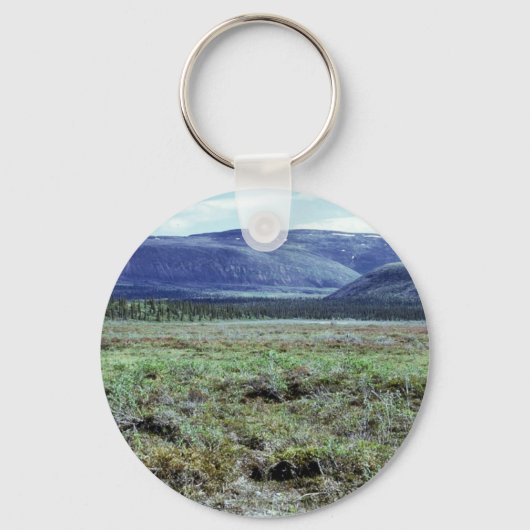 Tafelberg in de zomer sleutelhanger (Voorkant)