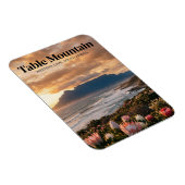 Tafelberg, Kaapstad, West-Kaap Magneet (Rechterzijde)