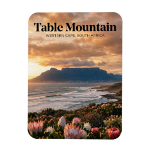 Tafelberg, Kaapstad, West-Kaap Magneet