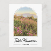 Tafelberg Kaapstad Zuid-Afrika Briefkaart (Voorkant)