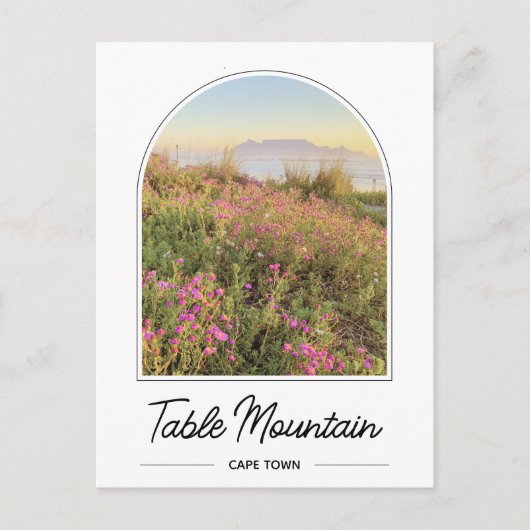 Tafelberg Kaapstad Zuid-Afrika Briefkaart (Voorkant)