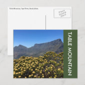 tafelbergtop briefkaart (Voorkant / Achterkant)