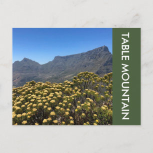 tafelbergtop briefkaart