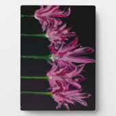 Tafelblad Artwork met Ezel Fotoplaat (voorkant)