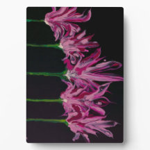 Tafelblad Artwork met Ezel