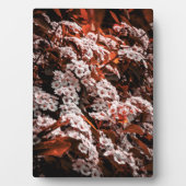 Tafelblad bloemplaque fotoplaat (voorkant)