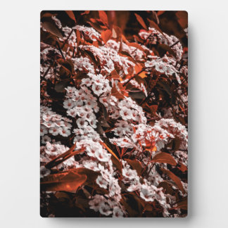 Tafelblad bloemplaque fotoplaat