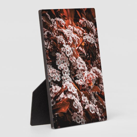 Tafelblad bloemplaque fotoplaat (Zijkant)