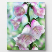 Tafelblad Plaque Foxglove Art in pastelkleuren Fotoplaat (Voorkant)