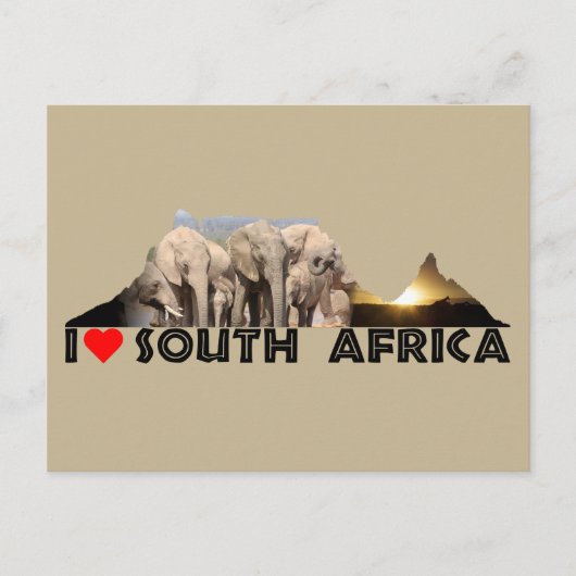 Tafelgebergte — Elephant-familie Briefkaart (Voorkant)