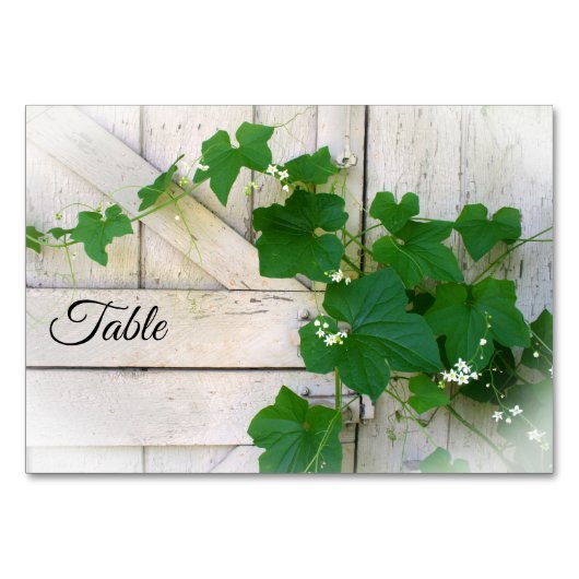 tafelkaarten van wilde druiven kaart (Voorkant)