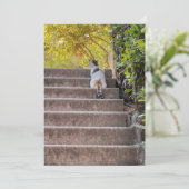 Tafelkat (Staand voorkant)