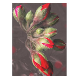 Tafelkleed bloeit rood en donker