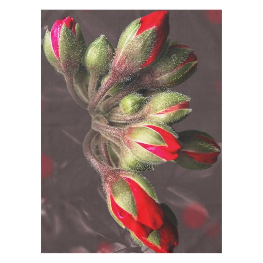 Tafelkleed bloeit rood en donker (Voorkant)