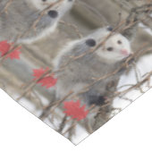 Tafelkleed Opossum Natuur (Gekanteld)