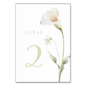 Tafellilie tafel 2 kaart (Achterkant)