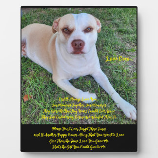 Tafelmodel met Easel Fotoplaat